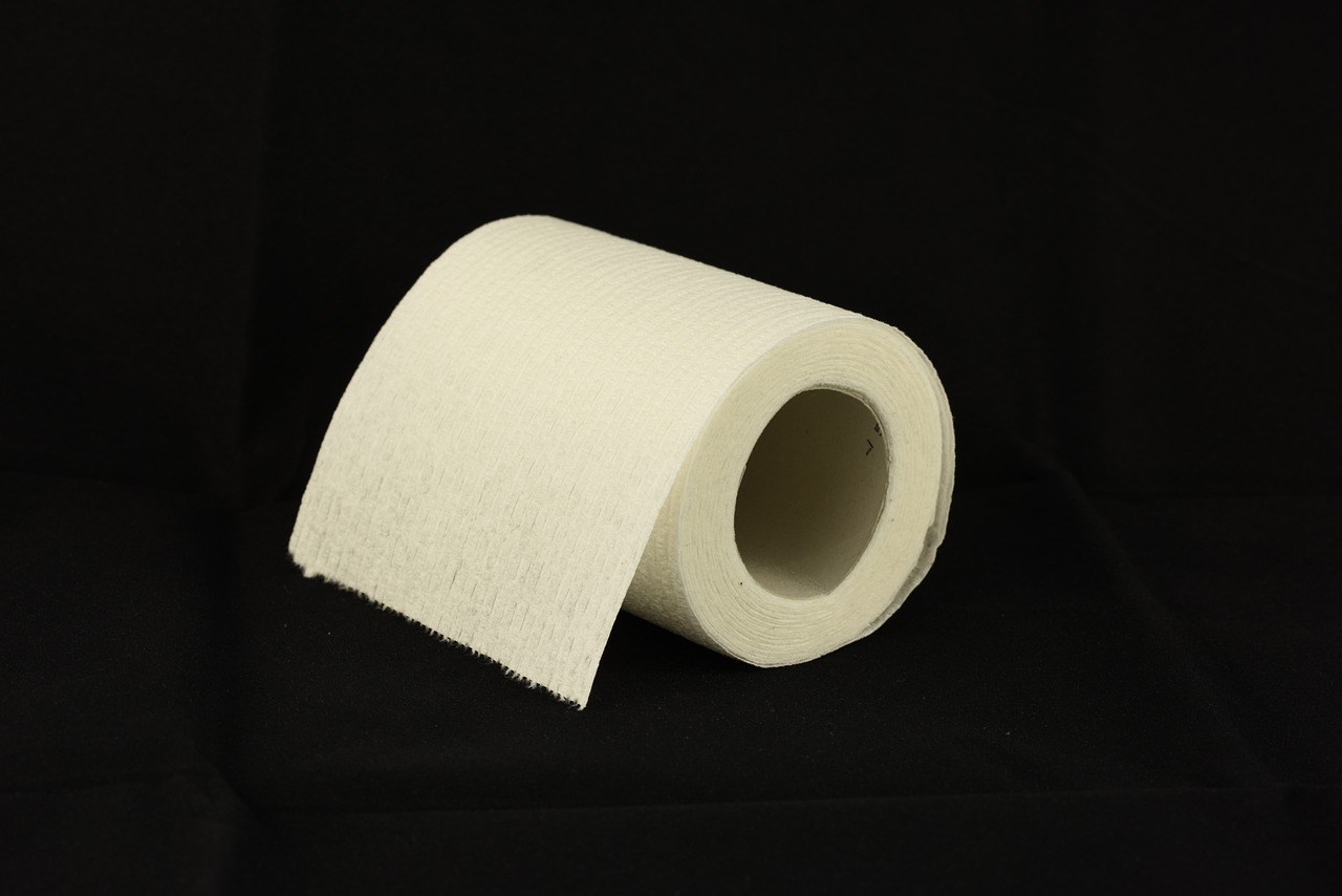 toilet paper, toilet roll, tissue