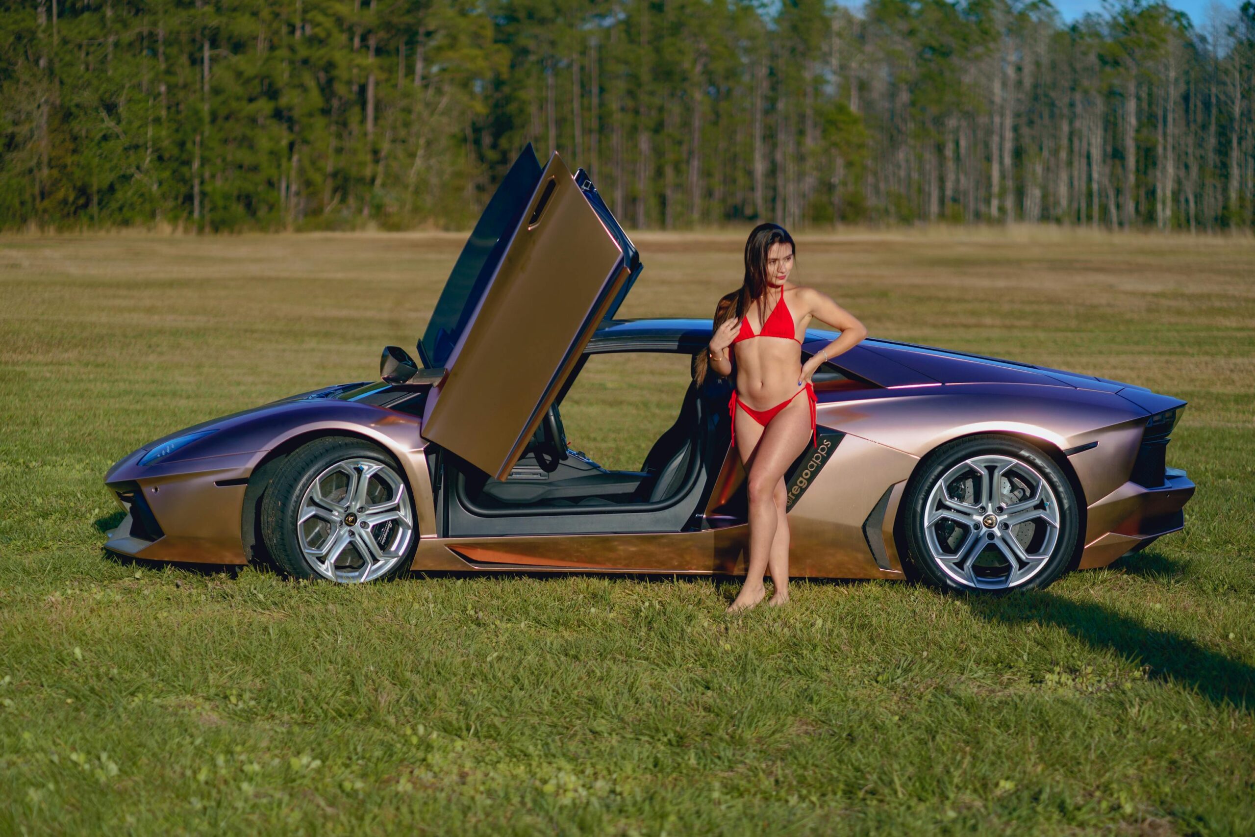 A woman in a red bikini poses beside an open-door luxury sports car in a meadow.